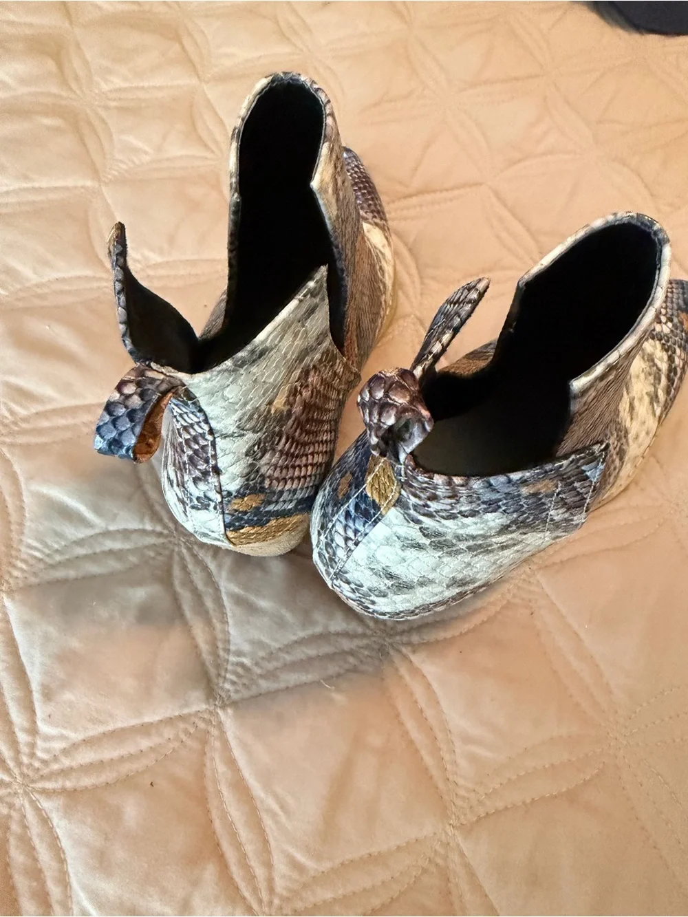 Women's Snake-Print Ankle Booties in Multicolor
